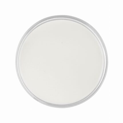 Molly Lac Polvo Acrílico Clear 120 grs.