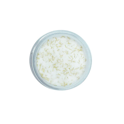 Molly Lac Polvo Acrílico Color Transparente con Tiras Oro 4 grs.