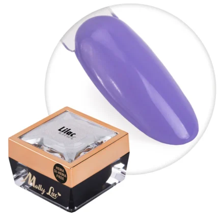 Molly Lac Ombre Gel 5 ml. Lilac – Gel paint Hema di-Hema Free