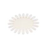 Muestrario Rueda 20 uñas natural